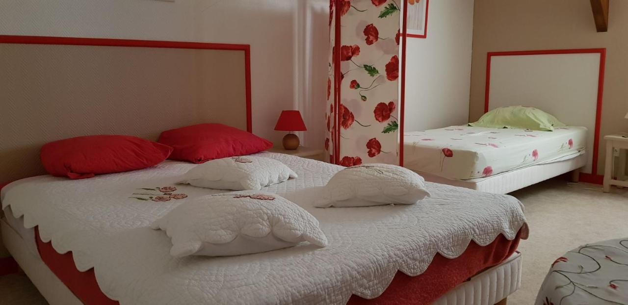 Les Brulis Chambre D'Hotes Châtillon-sur-Loire Exteriér fotografie